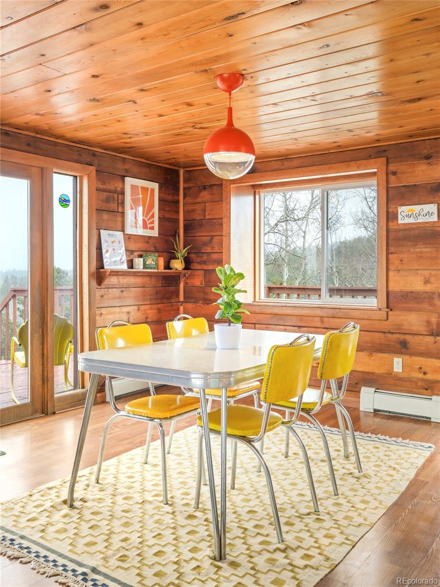 MLS Image #4 for 359  klitowya trail,woodland park, Colorado