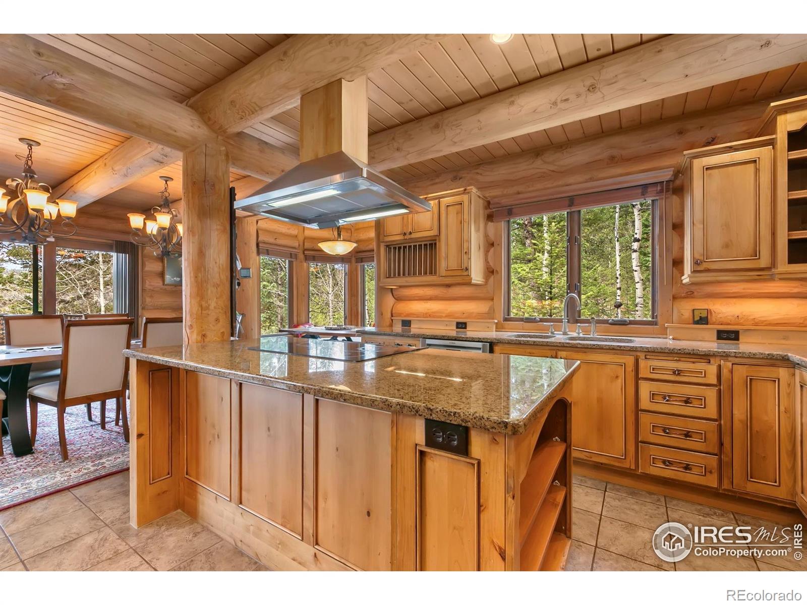 MLS Image #11 for 1490  hummingbird drive,estes park, Colorado