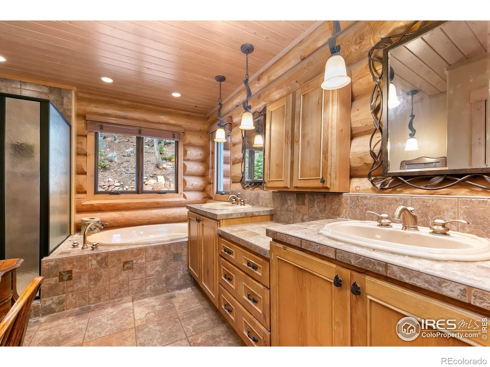 MLS Image #20 for 1490  hummingbird drive,estes park, Colorado