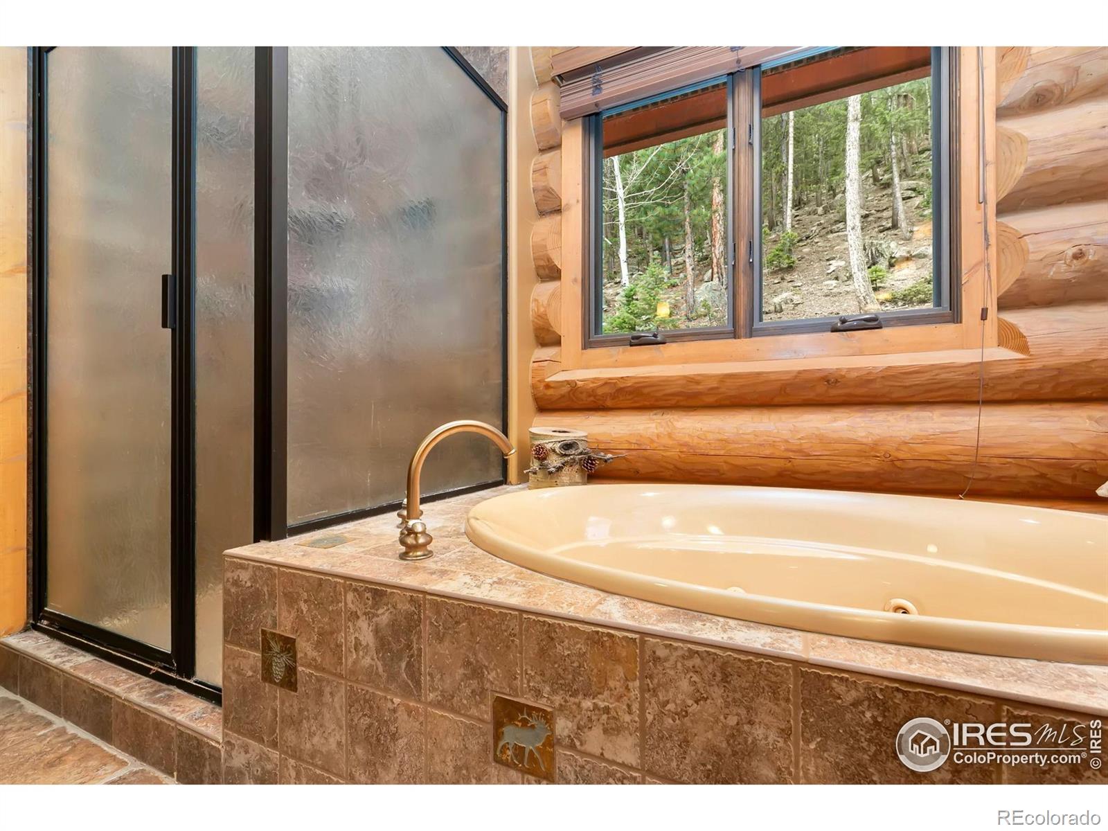 MLS Image #21 for 1490  hummingbird drive,estes park, Colorado