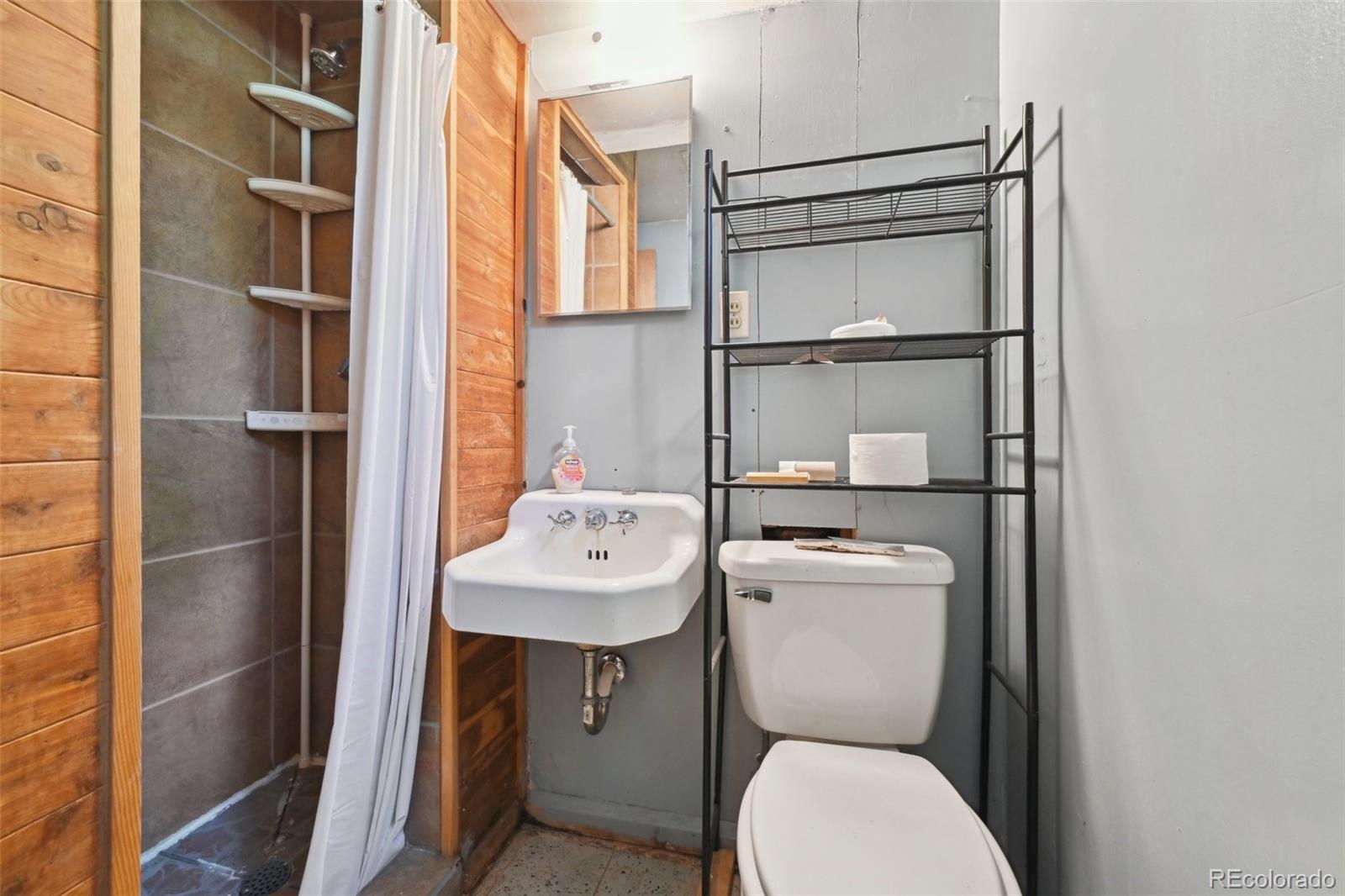MLS Image #20 for 6050  marshall court,arvada, Colorado