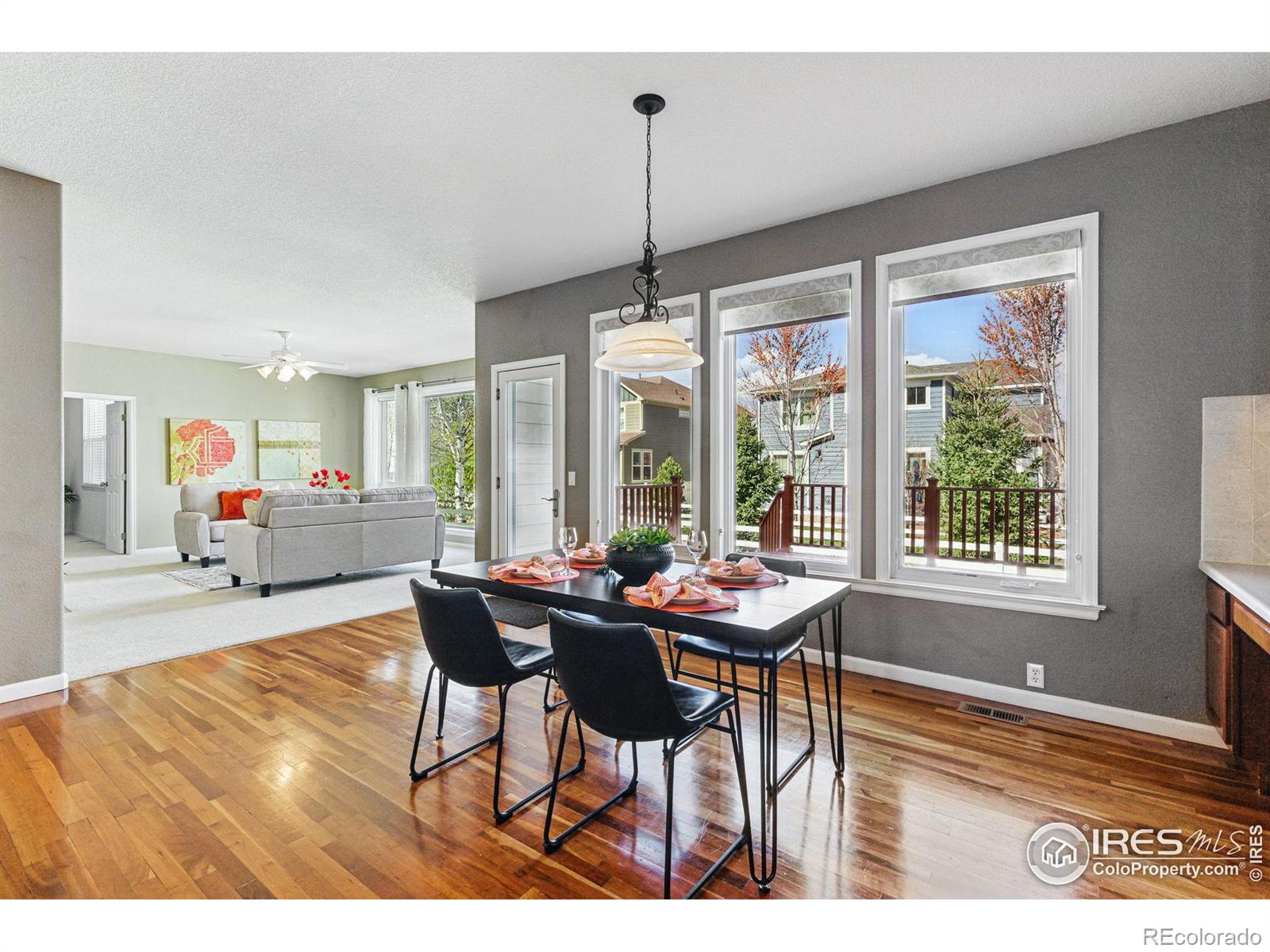 MLS Image #10 for 5017  bella vista drive,longmont, Colorado