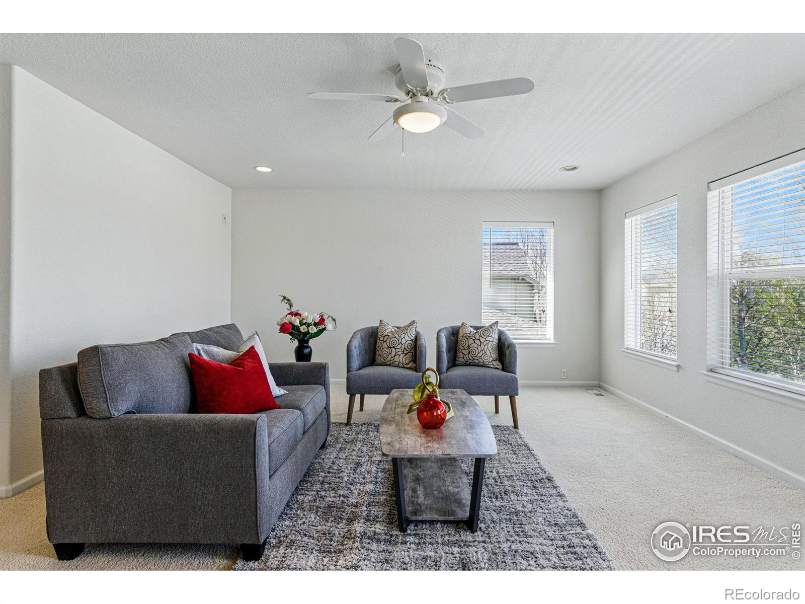 MLS Image #19 for 5017  bella vista drive,longmont, Colorado