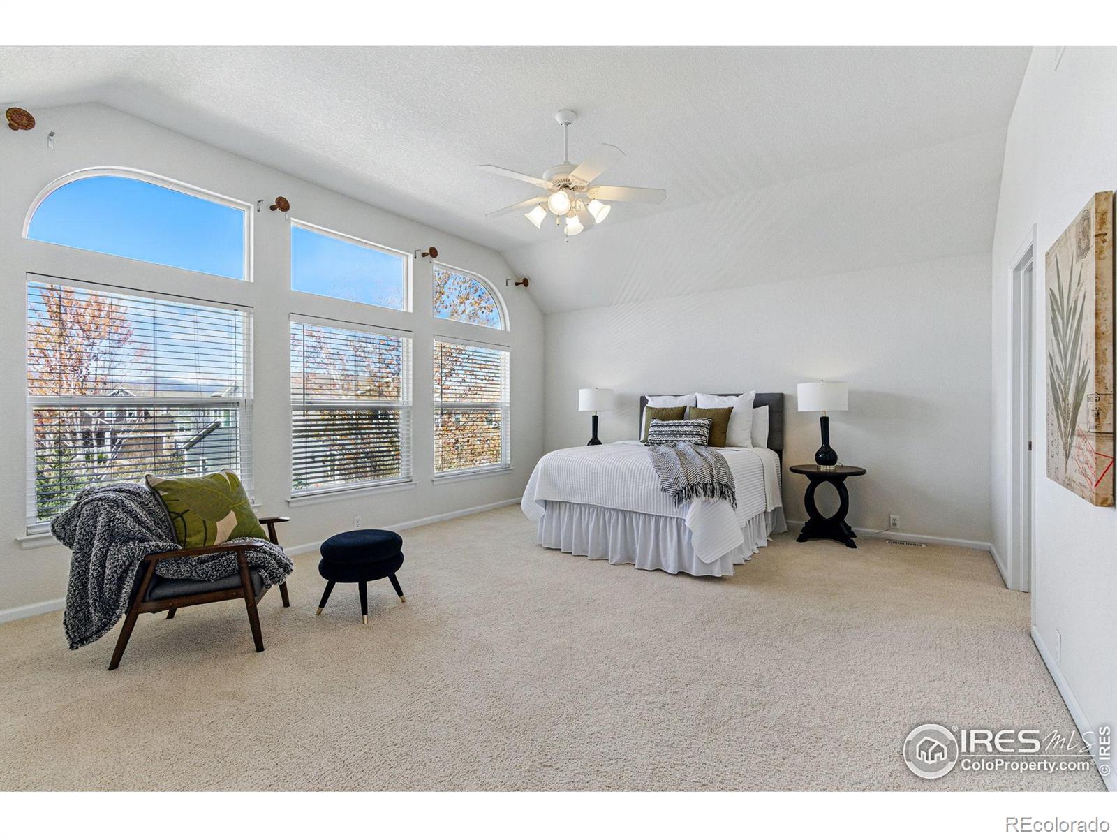 MLS Image #21 for 5017  bella vista drive,longmont, Colorado