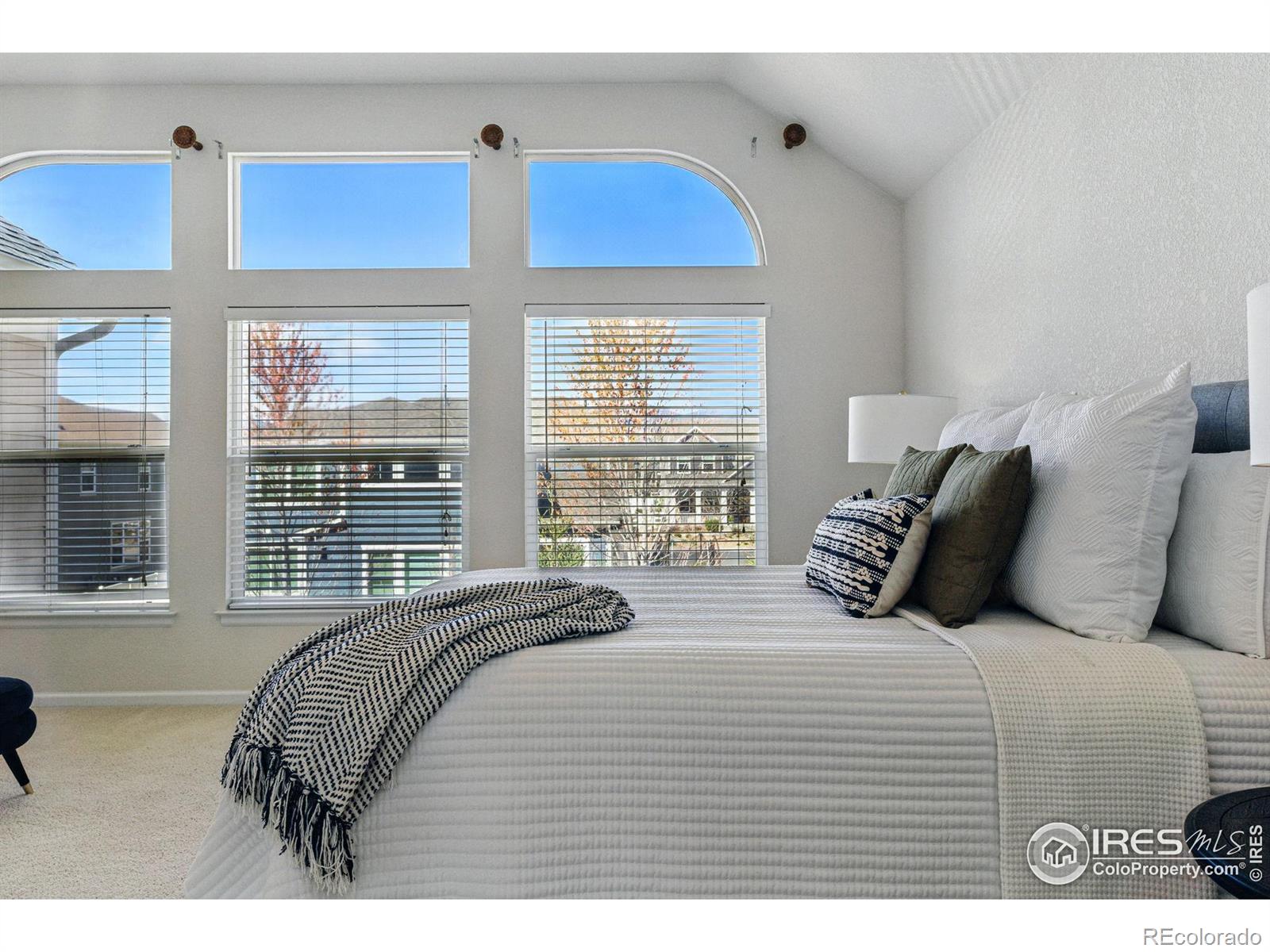 MLS Image #23 for 5017  bella vista drive,longmont, Colorado