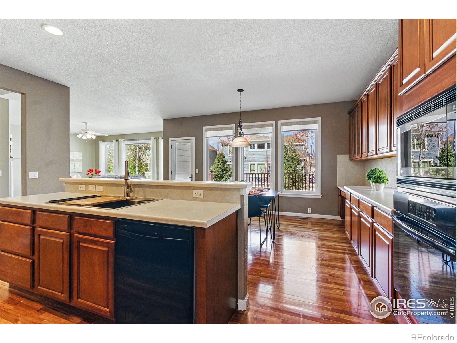 MLS Image #7 for 5017  bella vista drive,longmont, Colorado