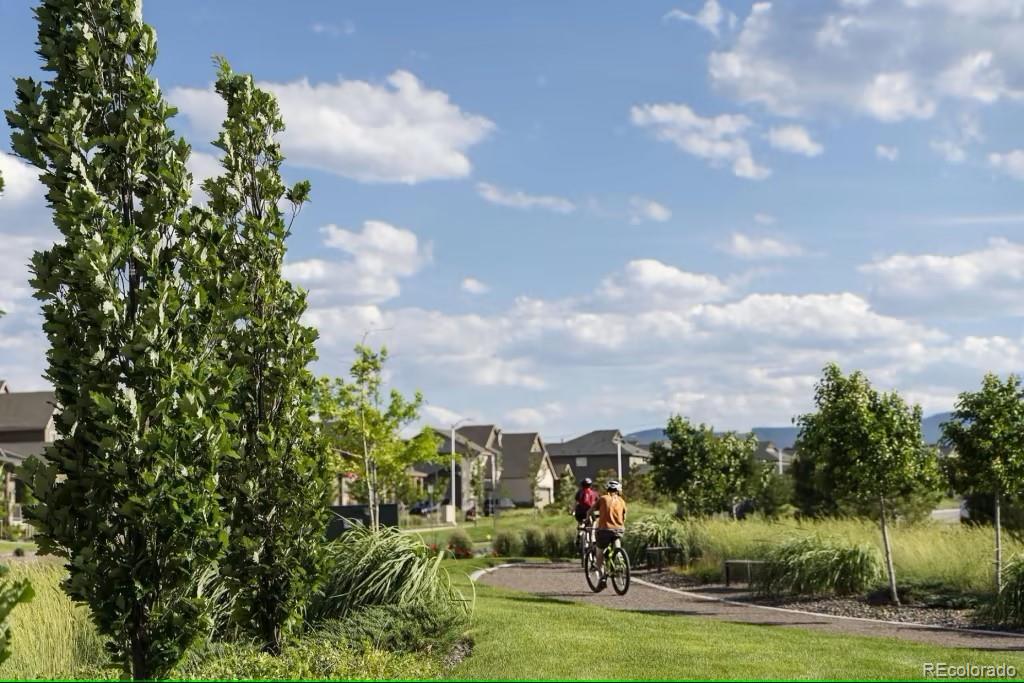 MLS Image #29 for 8321  mount kataka street,littleton, Colorado