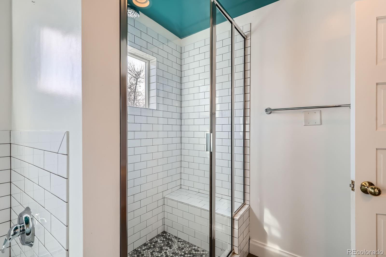 MLS Image #20 for 1006 s emerson street,denver, Colorado