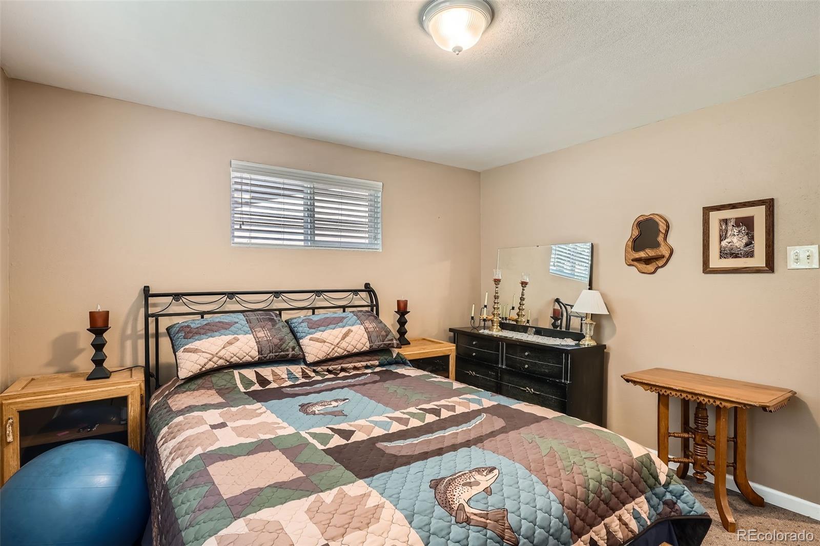 MLS Image #16 for 27  spruce trail,bailey, Colorado