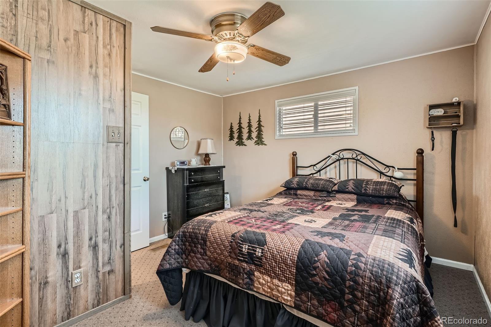 MLS Image #20 for 27  spruce trail,bailey, Colorado