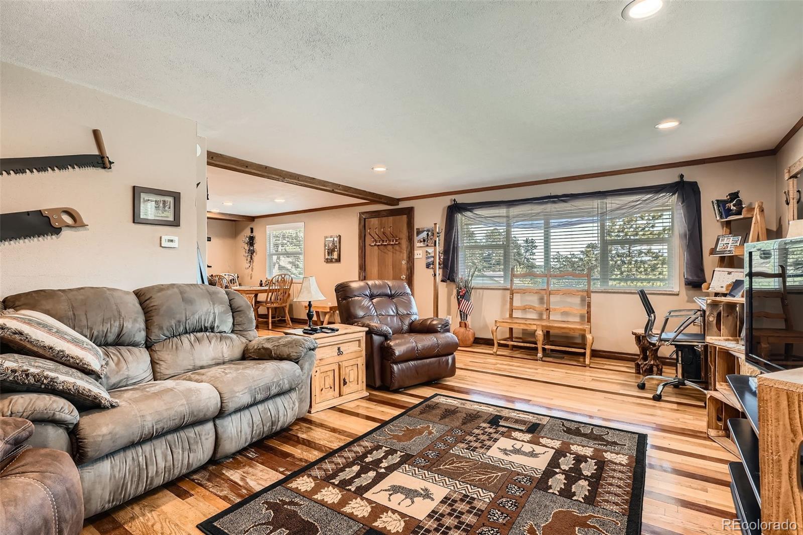 MLS Image #5 for 27  spruce trail,bailey, Colorado