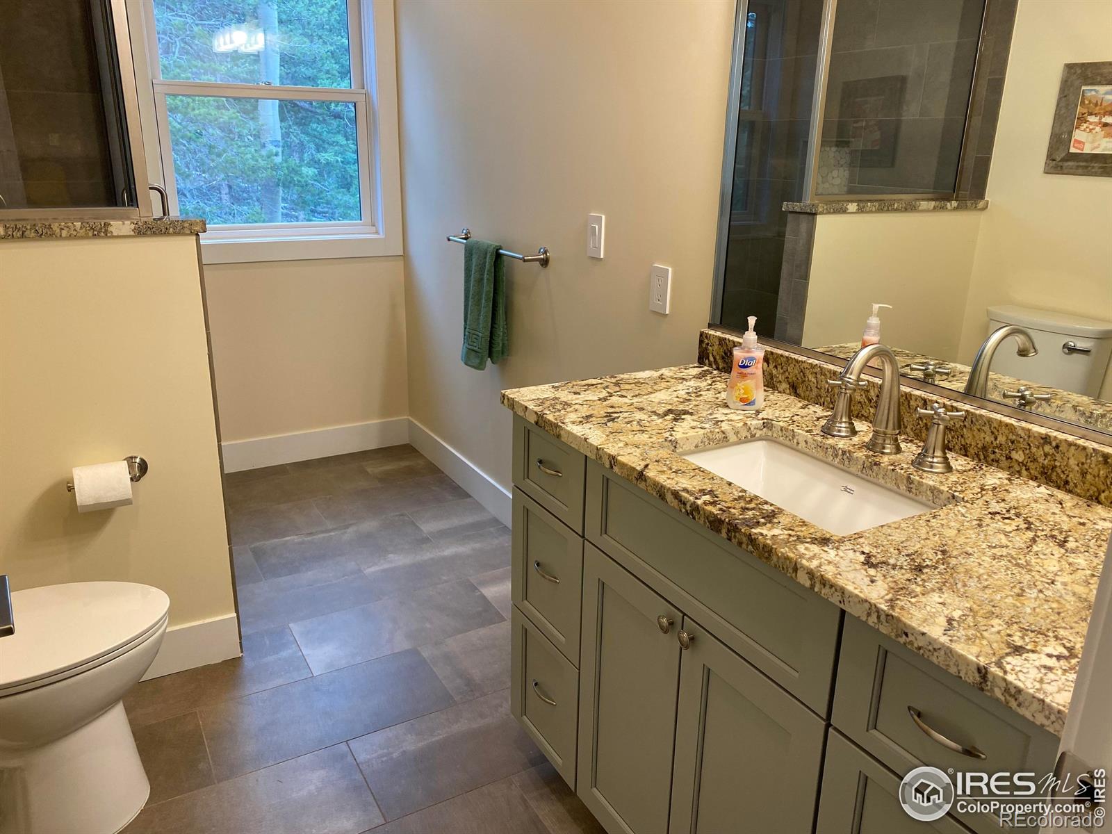 MLS Image #16 for 1555  three peaks road,golden, Colorado
