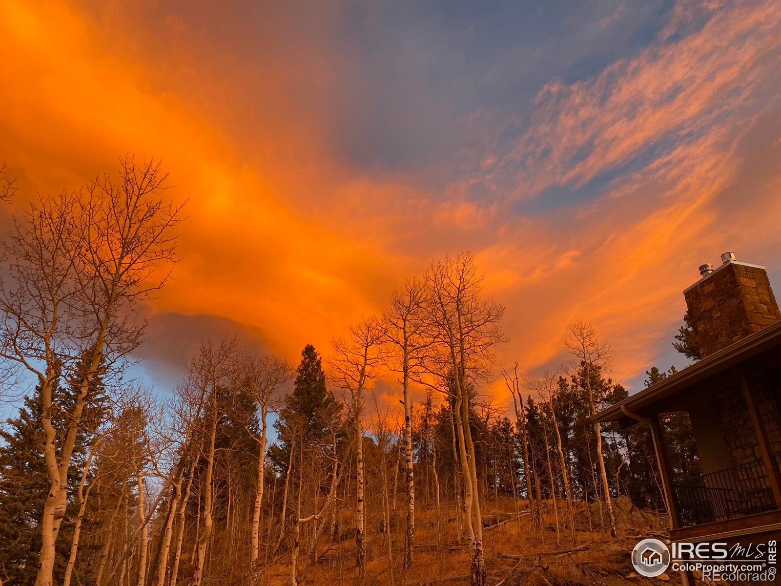 MLS Image #18 for 1555  three peaks road,golden, Colorado
