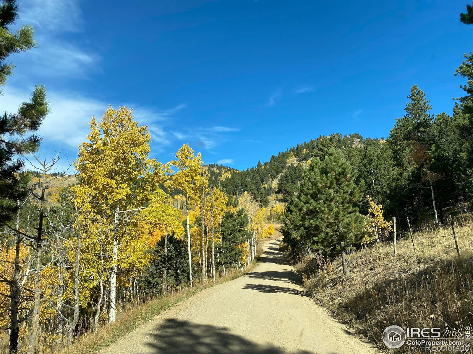 MLS Image #19 for 1555  three peaks road,golden, Colorado