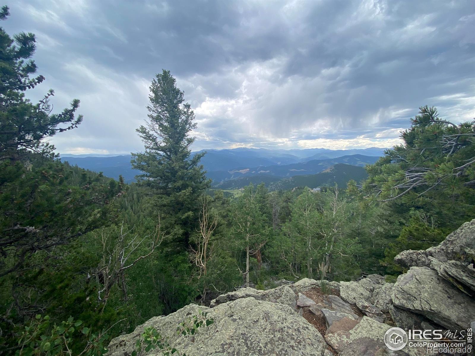 MLS Image #22 for 1555  three peaks road,golden, Colorado