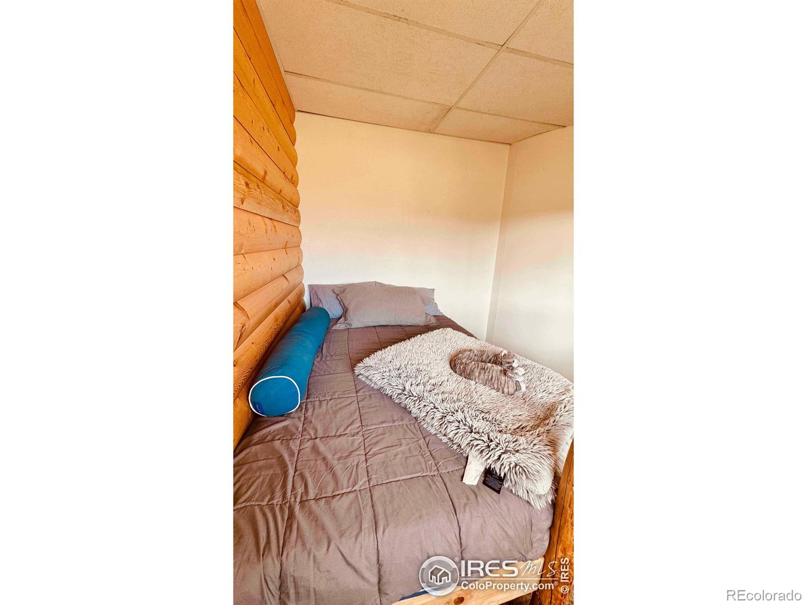 MLS Image #13 for 867  windy ridge road,red feather lakes, Colorado