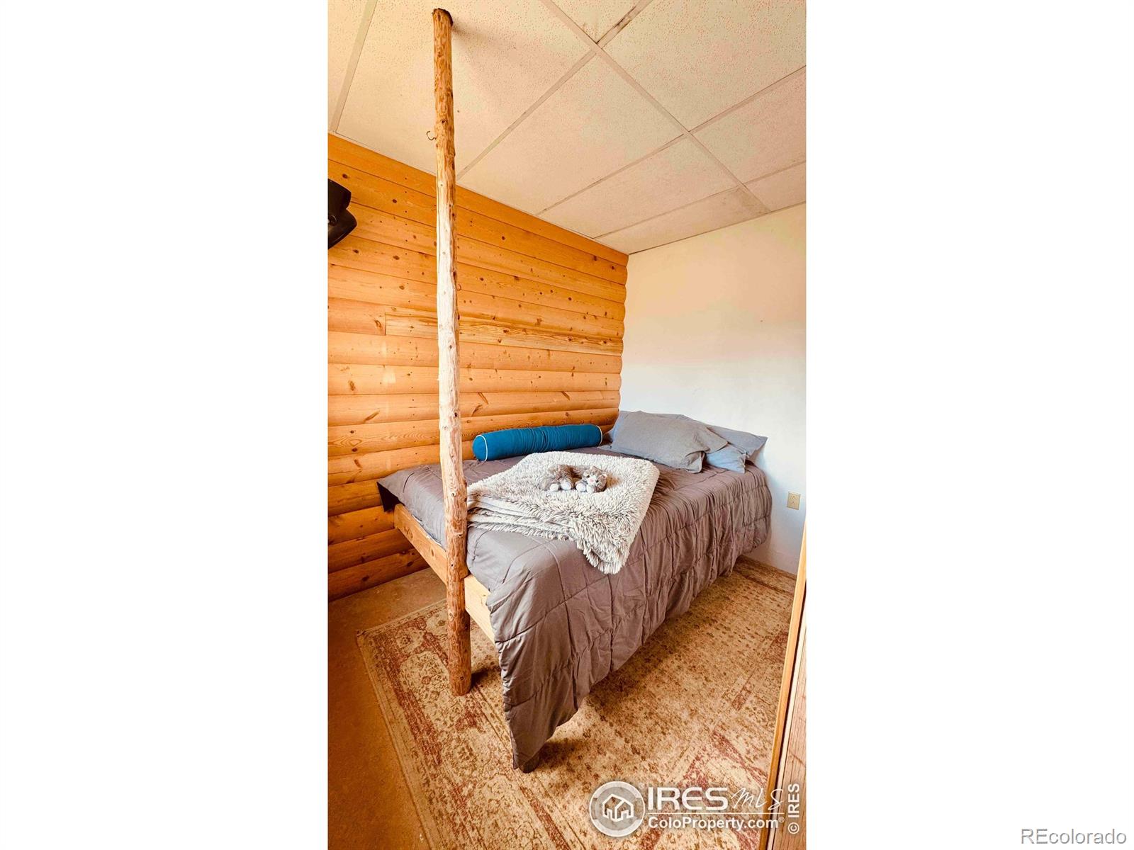 MLS Image #14 for 867  windy ridge road,red feather lakes, Colorado