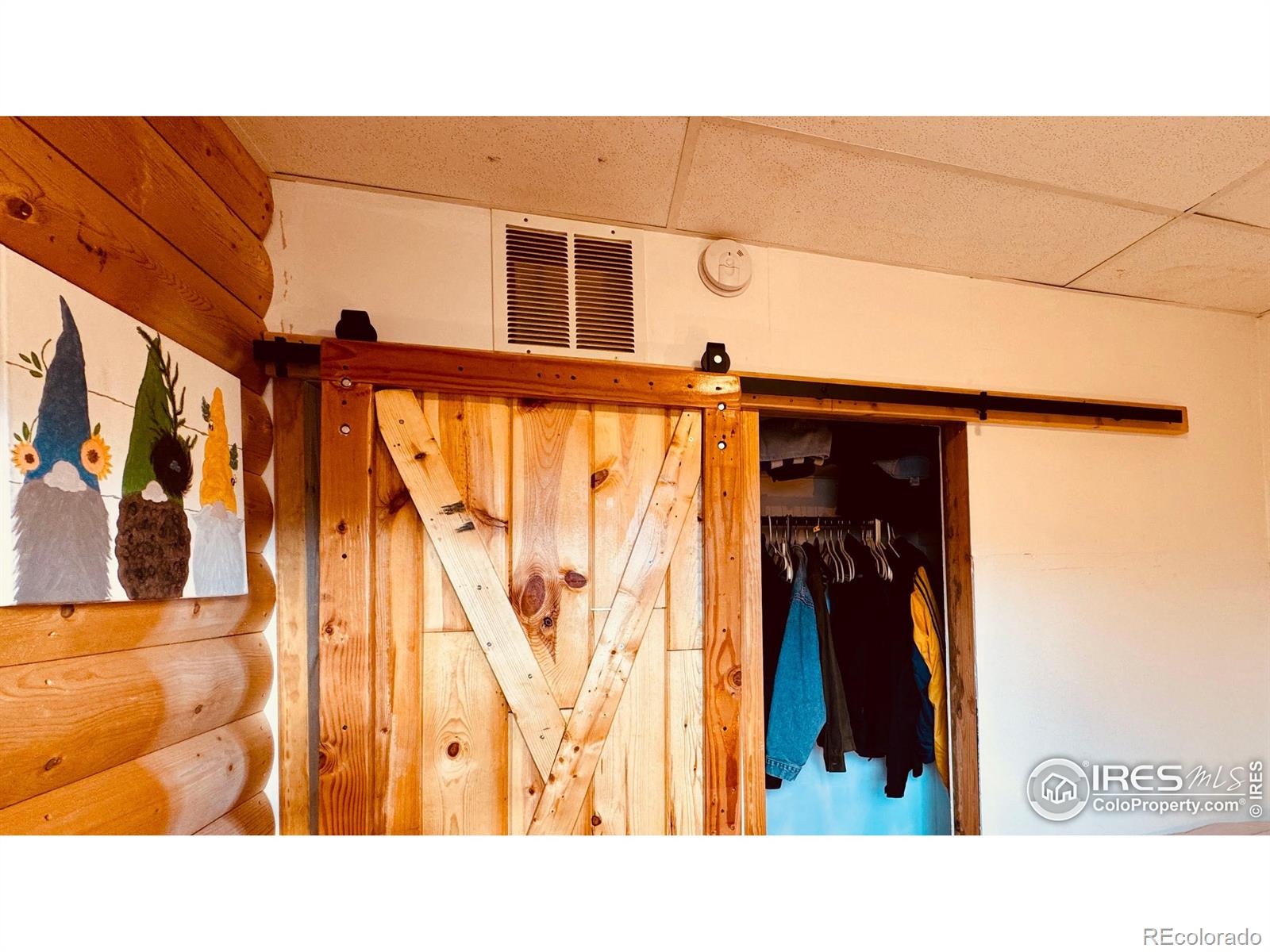 MLS Image #16 for 867  windy ridge road,red feather lakes, Colorado