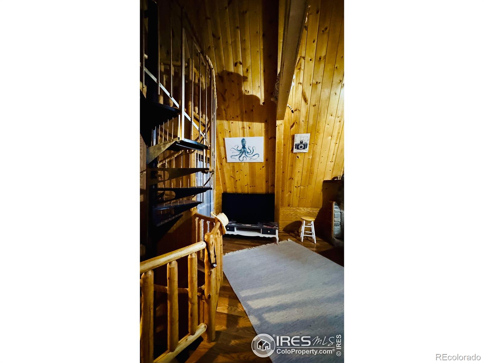 MLS Image #22 for 867  windy ridge road,red feather lakes, Colorado