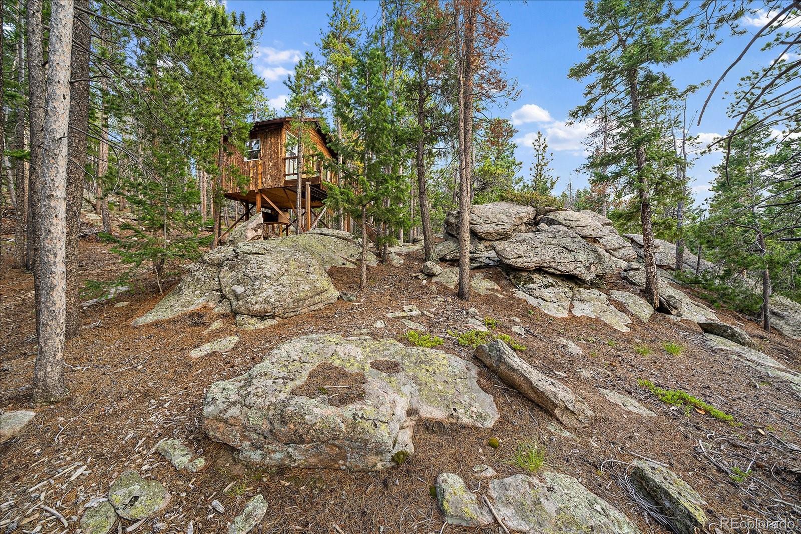 MLS Image #45 for 26452  wolverine trail,evergreen, Colorado