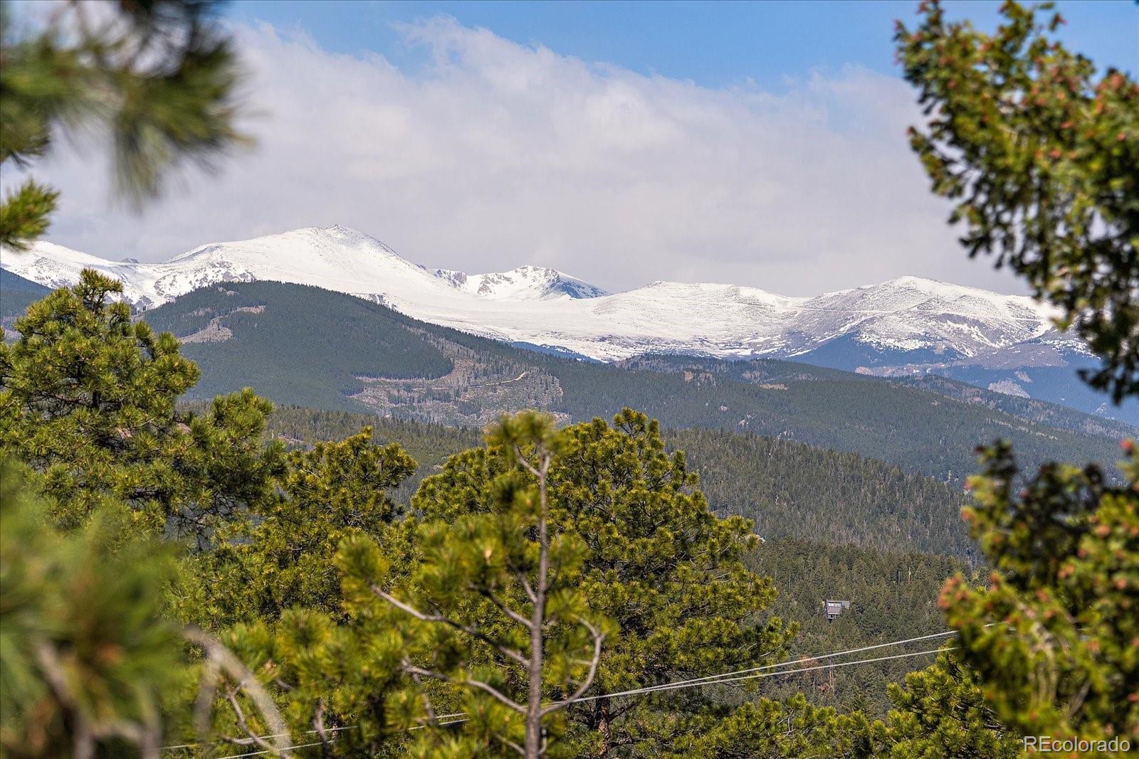 MLS Image #5 for 26452  wolverine trail,evergreen, Colorado