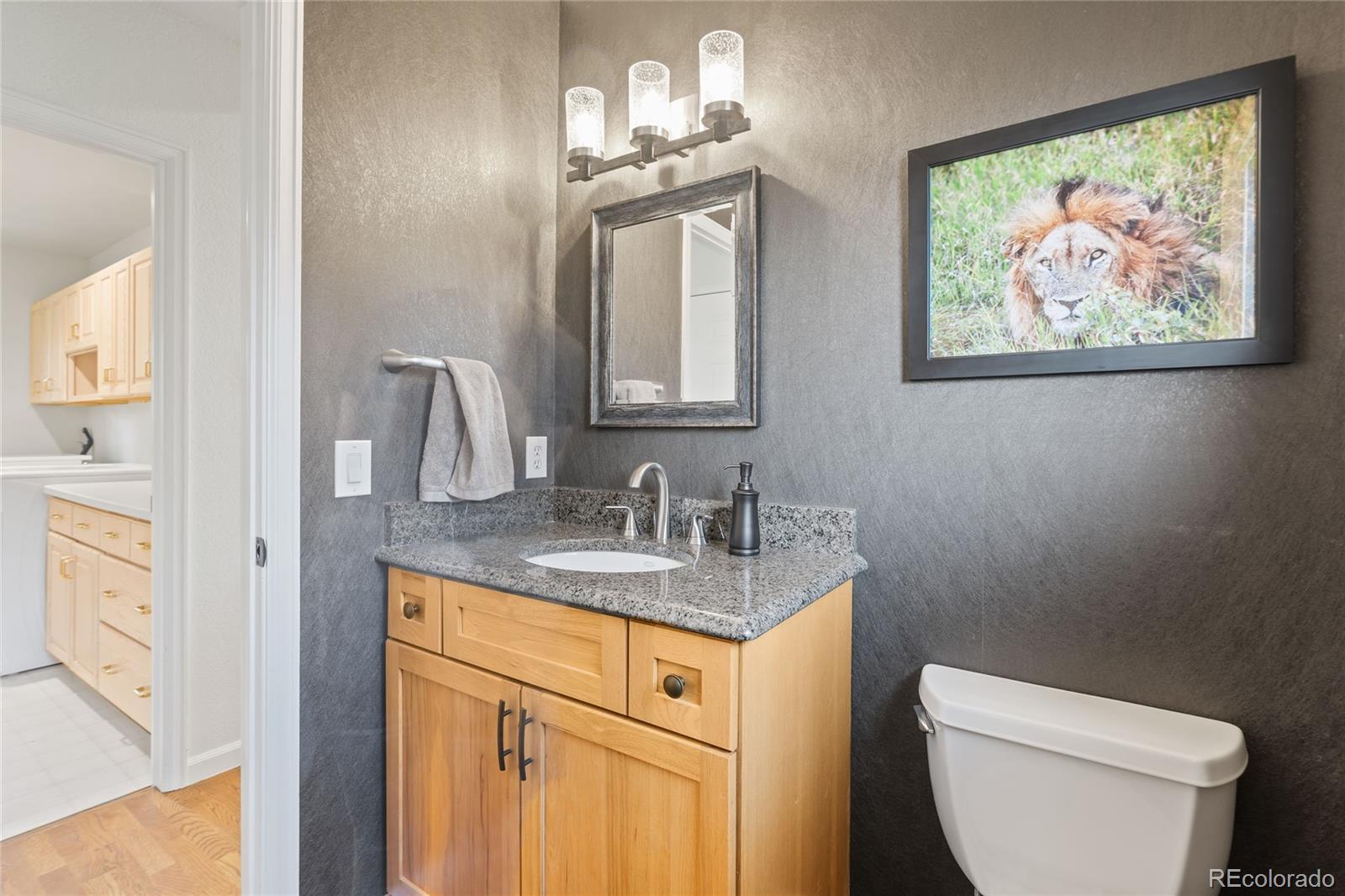 MLS Image #15 for 92 s devinney street,golden, Colorado
