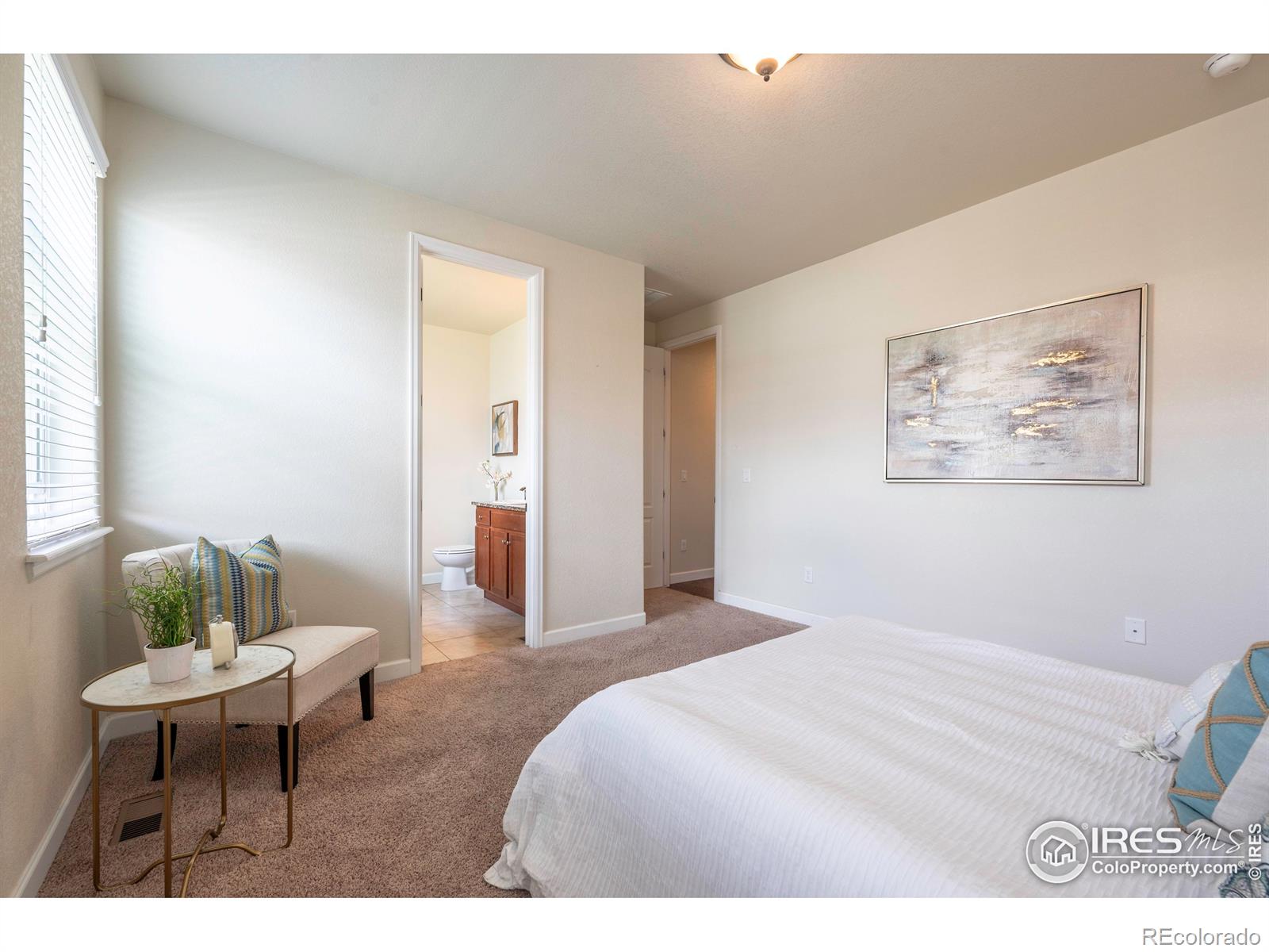 MLS Image #14 for 1358  14th avenue,longmont, Colorado