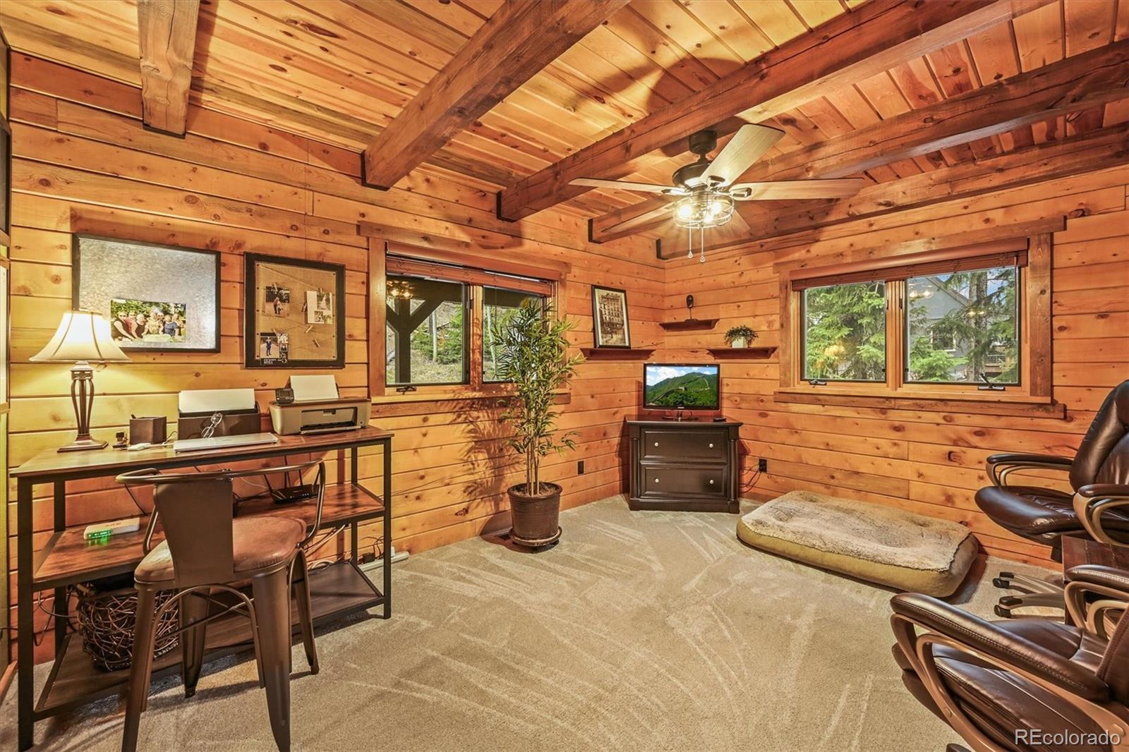 MLS Image #20 for 1673  sinton road,evergreen, Colorado