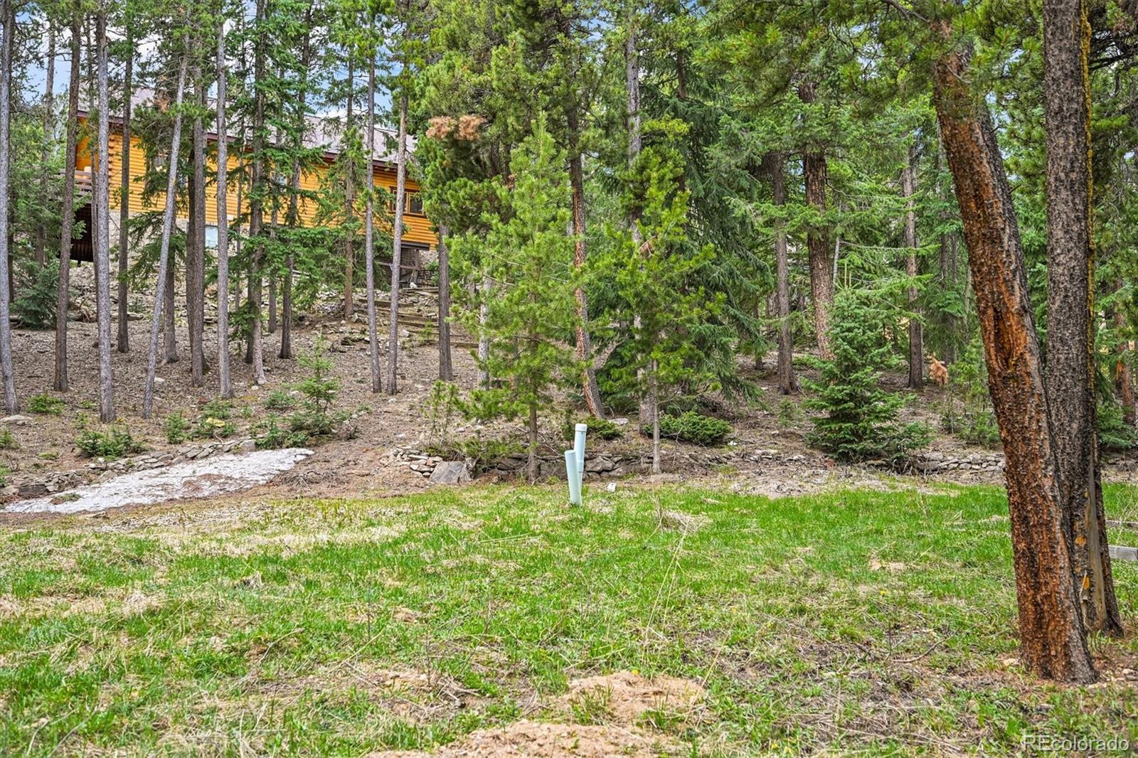 MLS Image #39 for 1673  sinton road,evergreen, Colorado