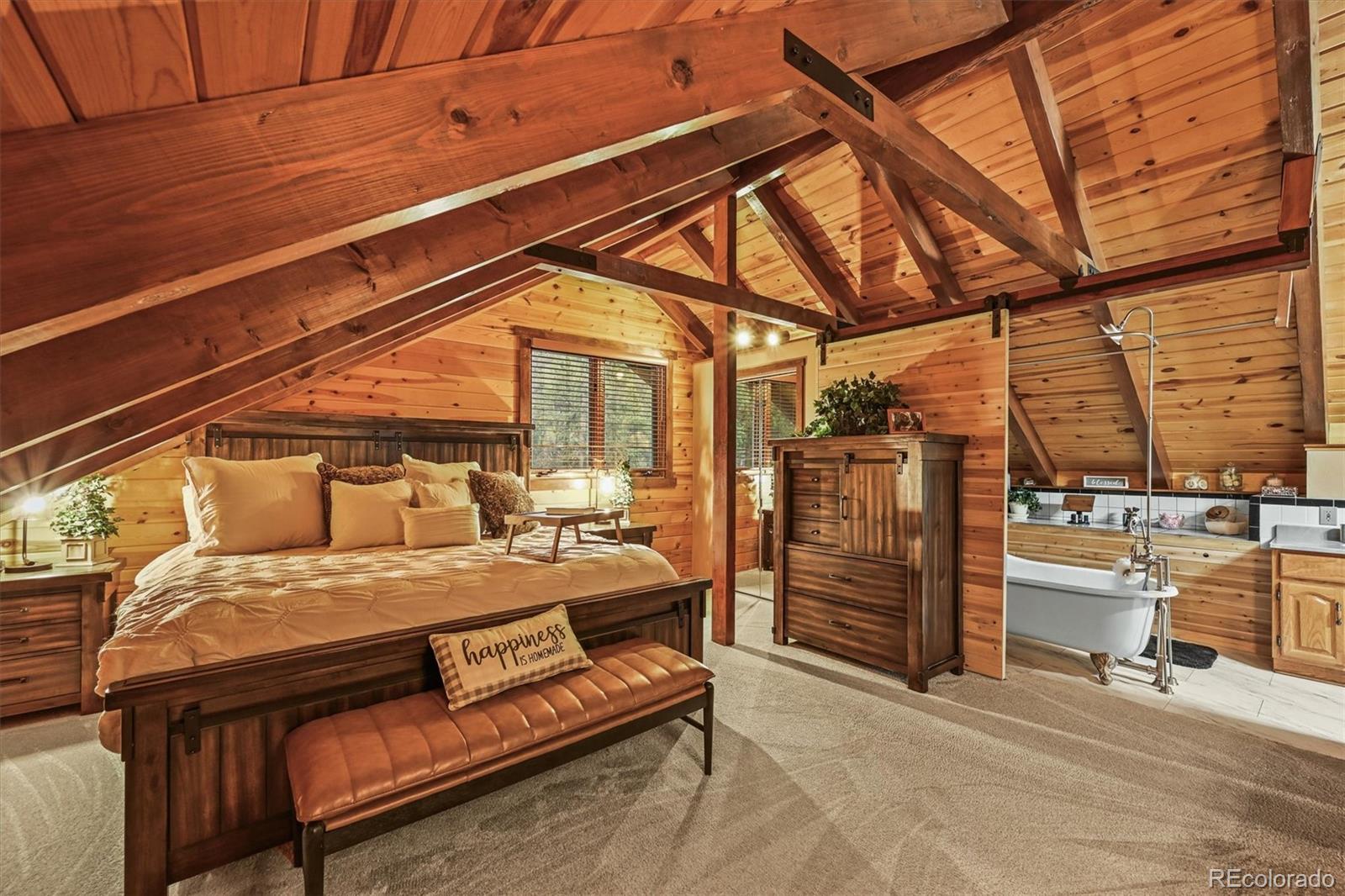 MLS Image #6 for 1673  sinton road,evergreen, Colorado
