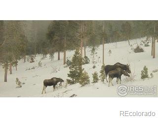 MLS Image #37 for 200  kimwood road,black hawk, Colorado