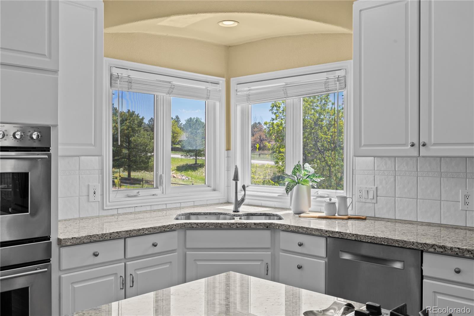 MLS Image #11 for 7226  dove court,parker, Colorado