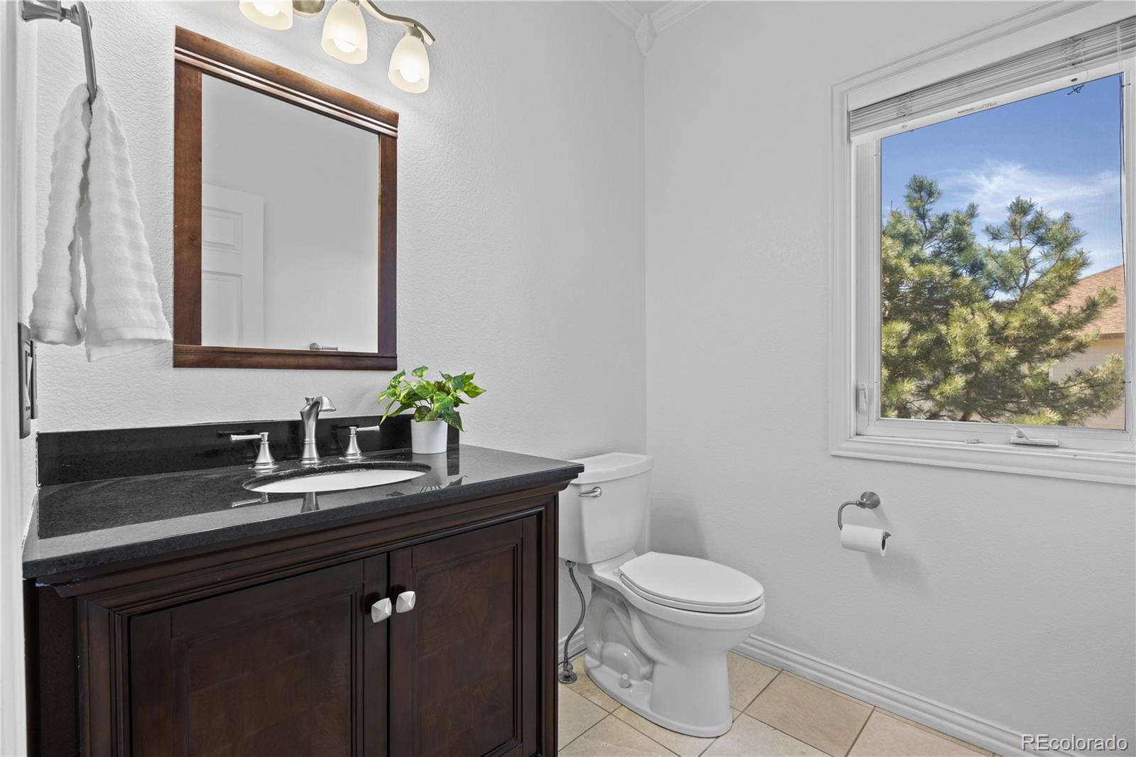 MLS Image #18 for 7226  dove court,parker, Colorado