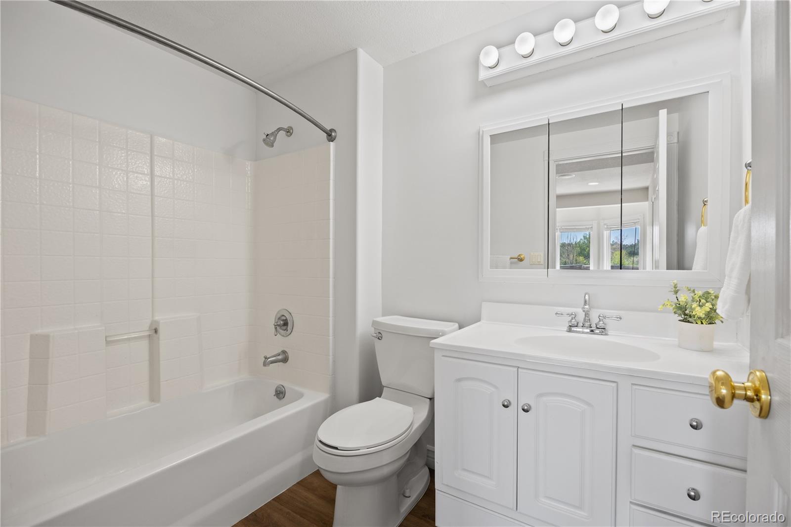 MLS Image #41 for 7226  dove court,parker, Colorado