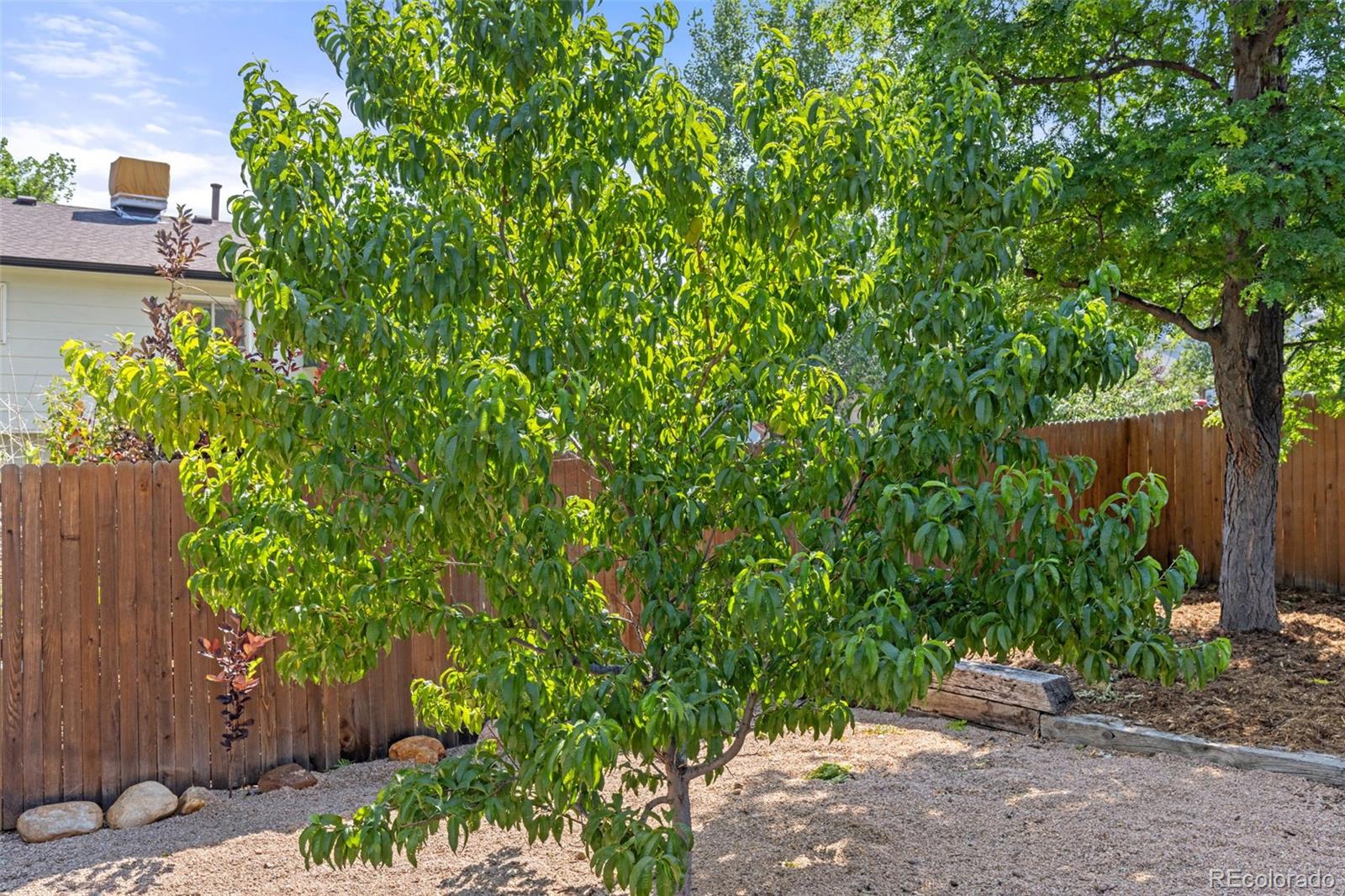 MLS Image #30 for 9596  everett court,westminster, Colorado
