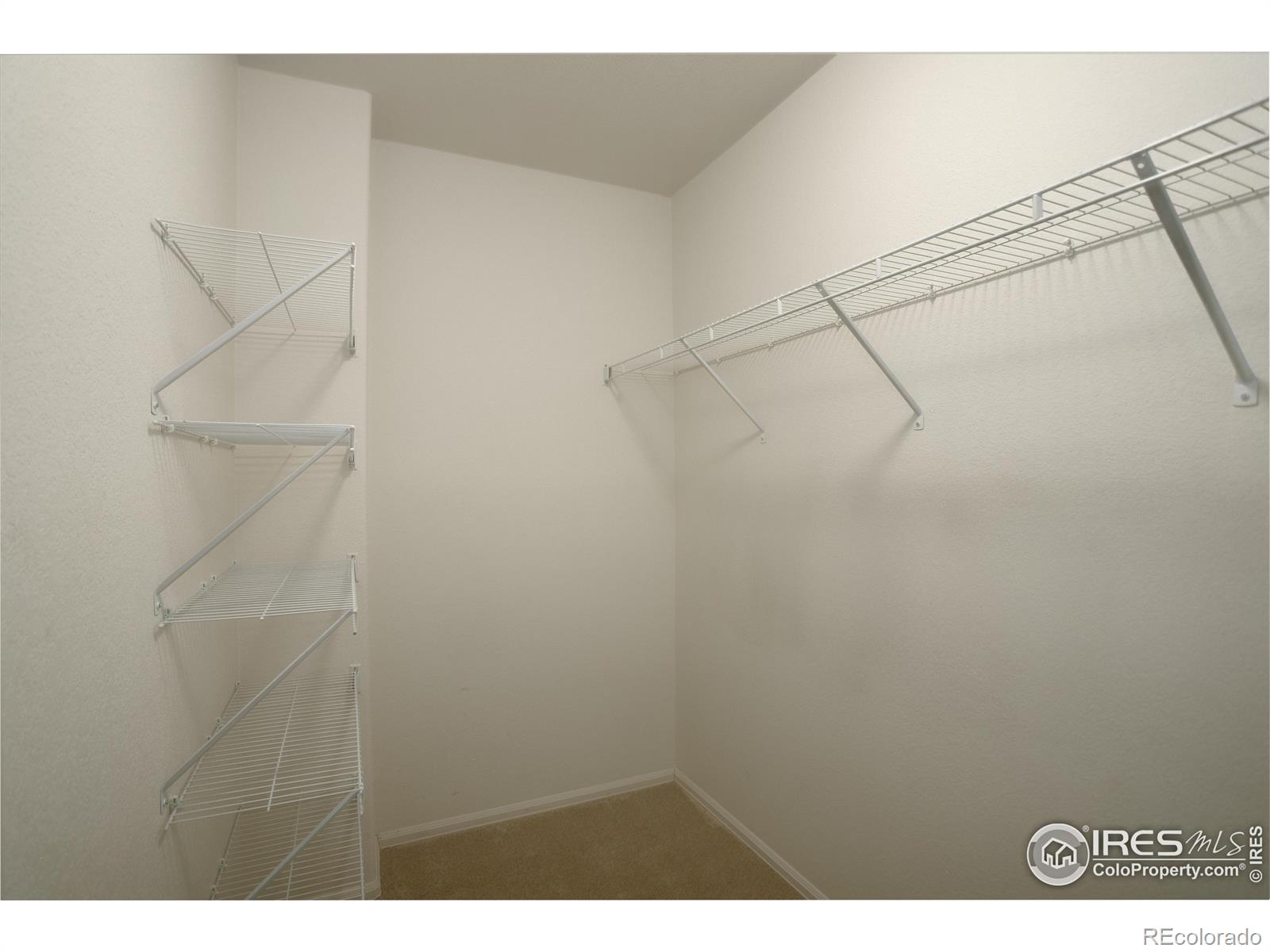 MLS Image #19 for 1540  murrlet street,berthoud, Colorado