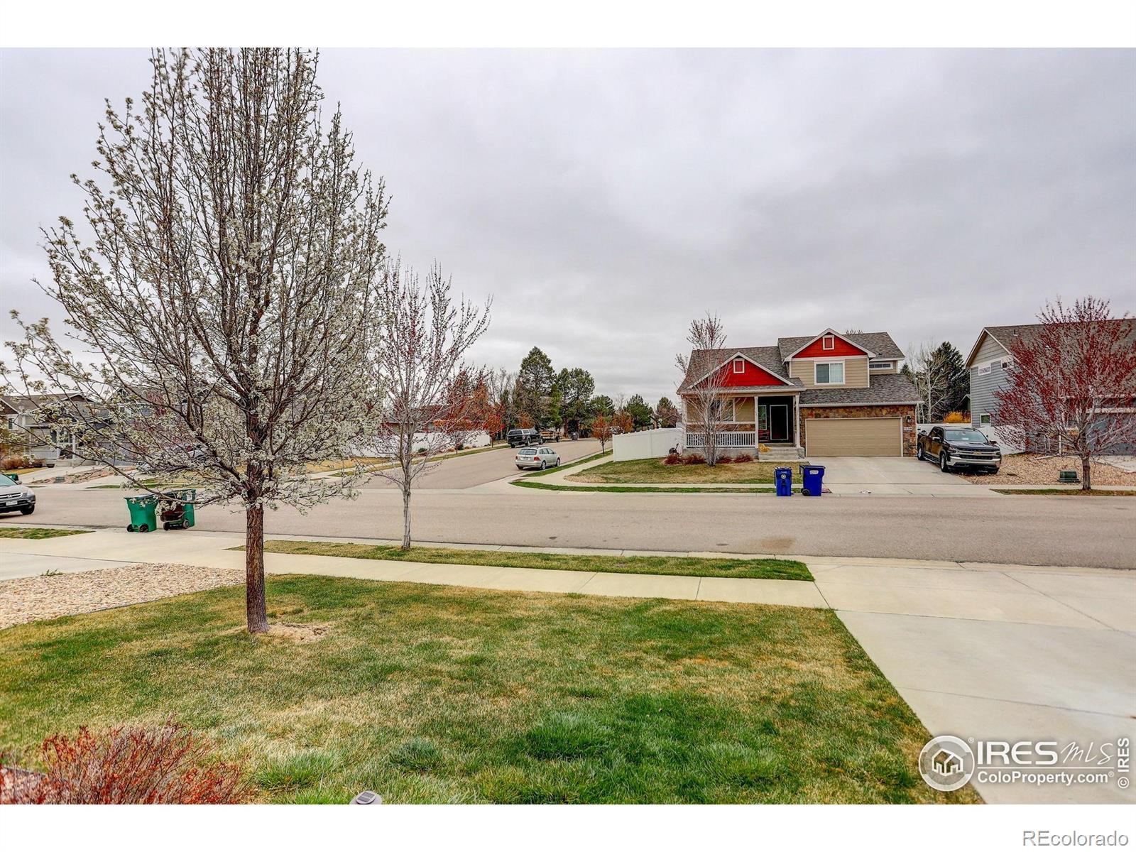 MLS Image #36 for 1540  murrlet street,berthoud, Colorado