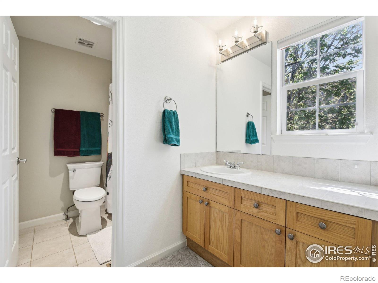 MLS Image #28 for 4109  frederick circle,longmont, Colorado