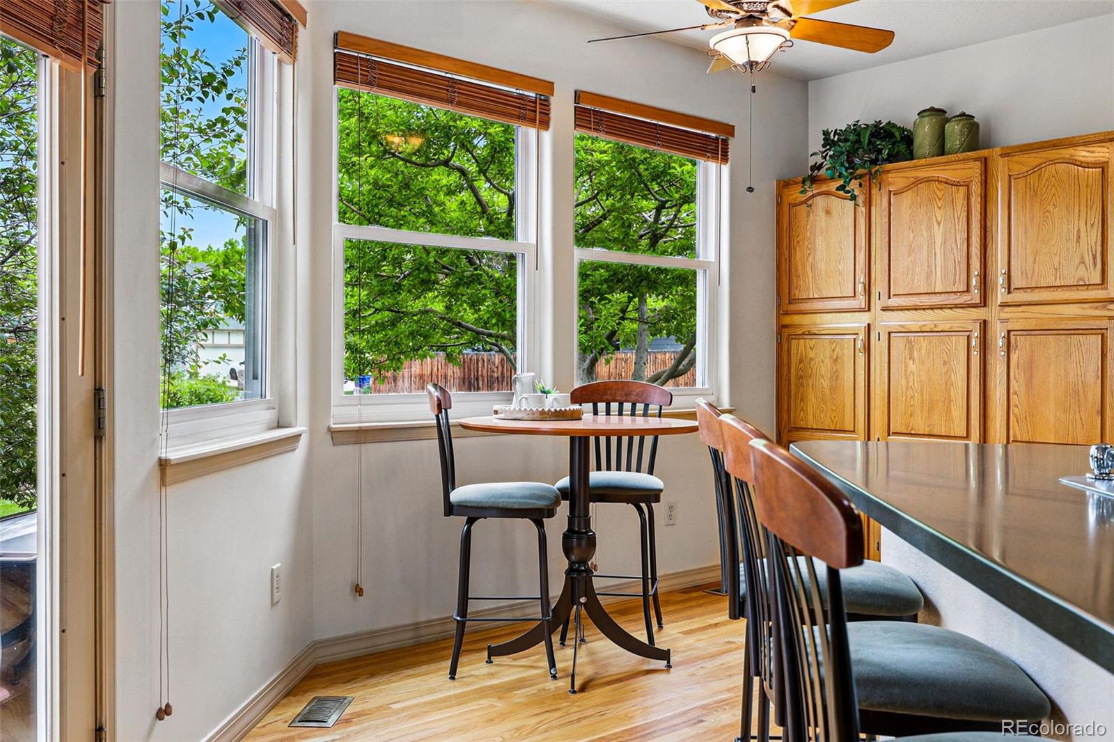 MLS Image #18 for 1205 w 11th court,broomfield, Colorado