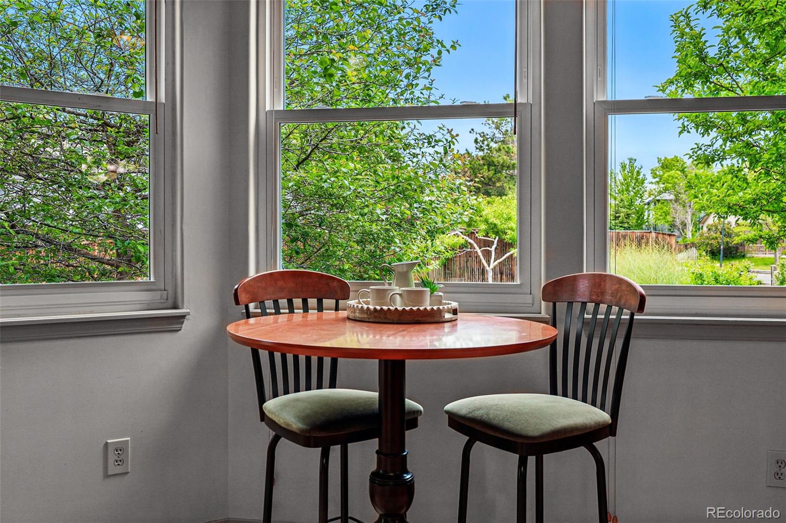 MLS Image #19 for 1205 w 11th court,broomfield, Colorado