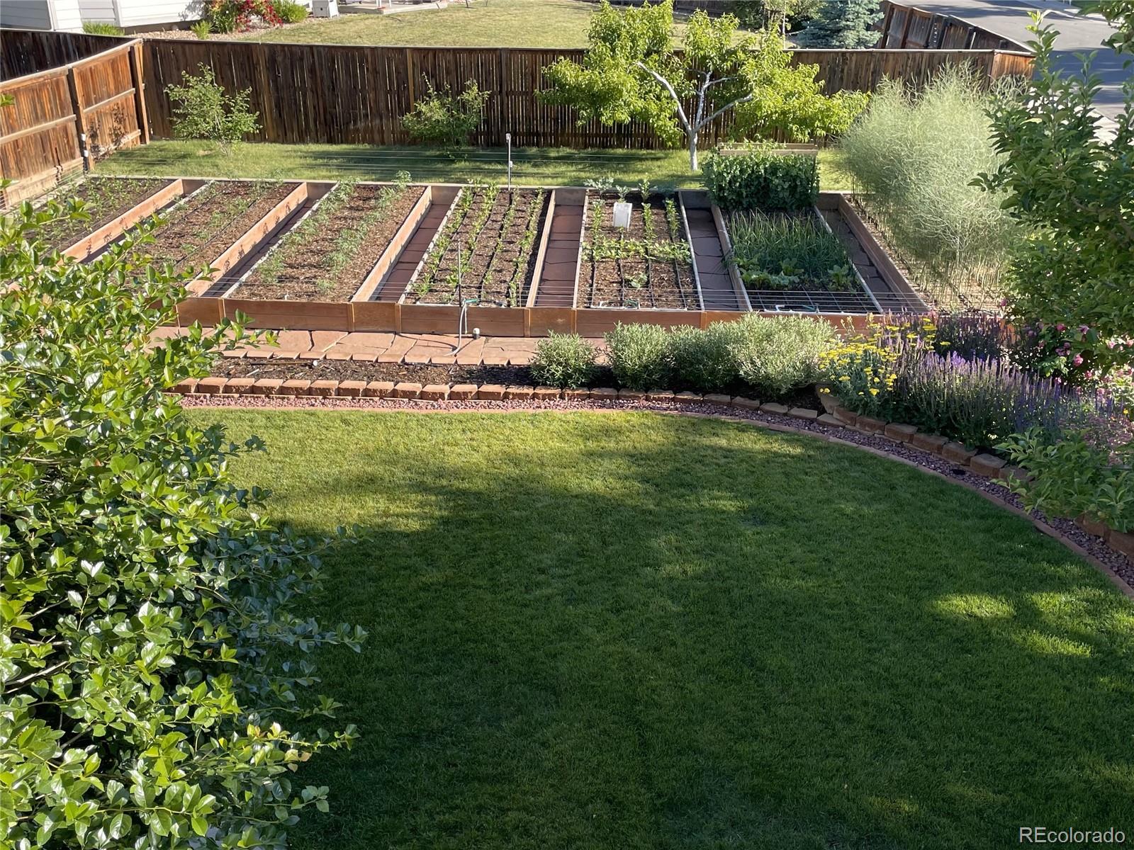 MLS Image #45 for 1205 w 11th court,broomfield, Colorado