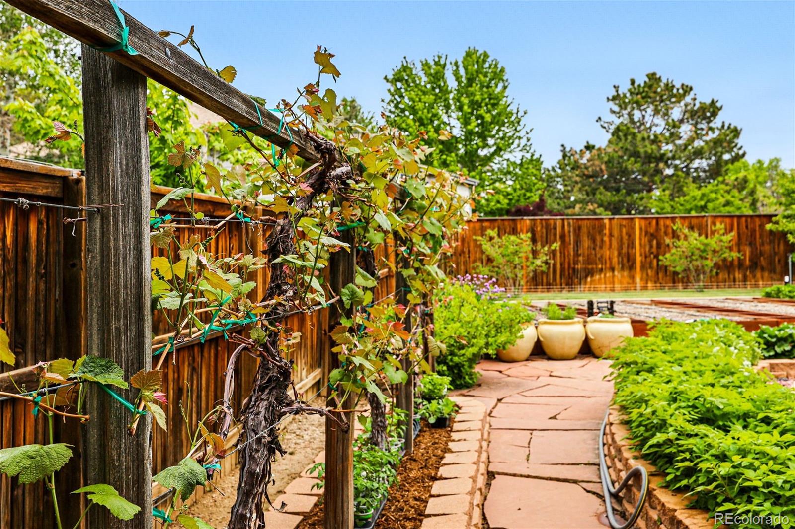 MLS Image #6 for 1205 w 11th court,broomfield, Colorado