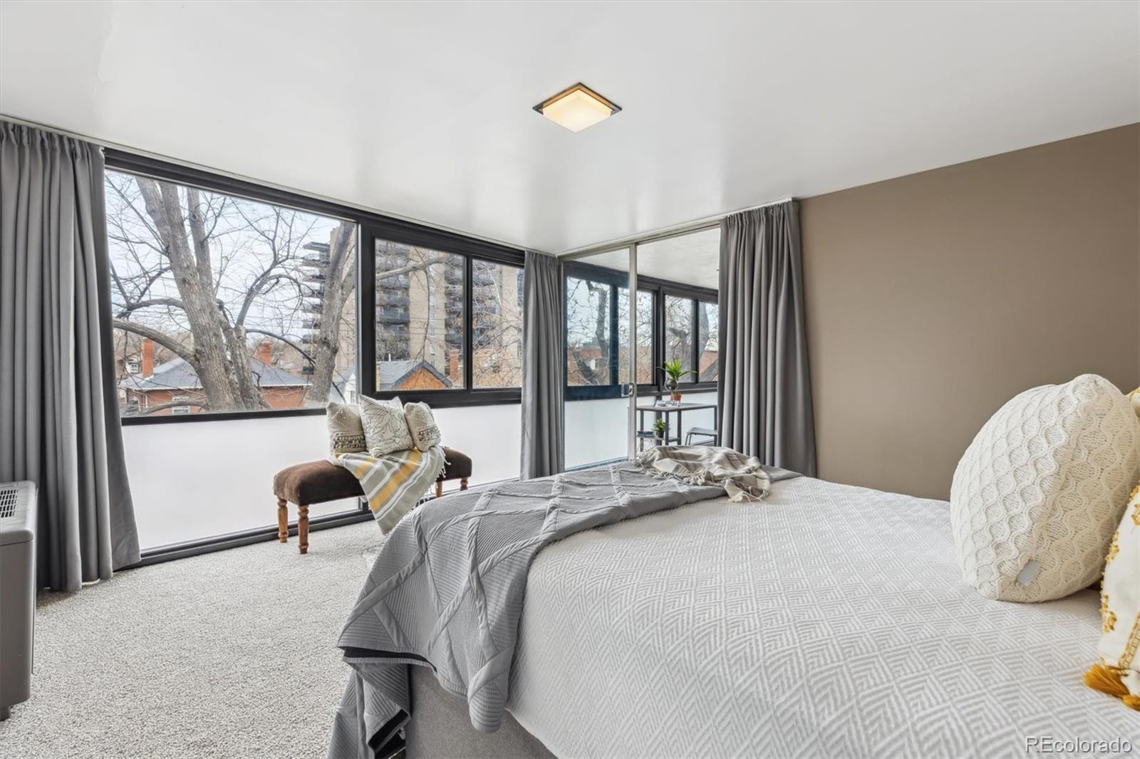 MLS Image #11 for 1050 n corona street,denver, Colorado