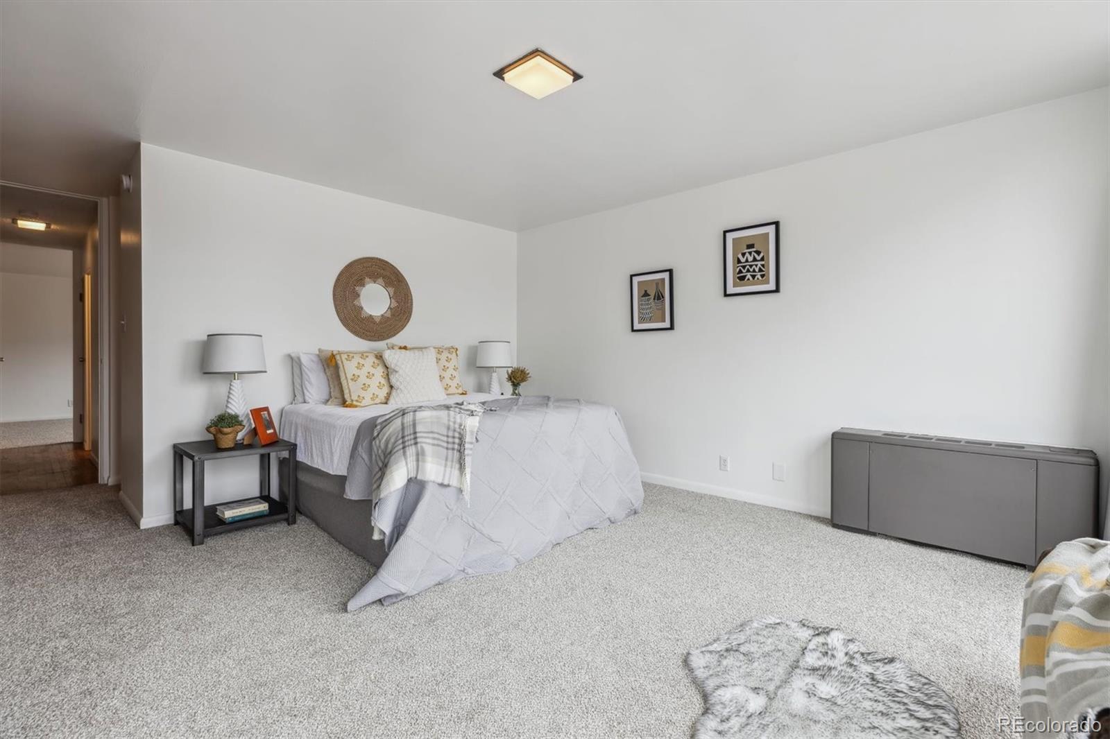 MLS Image #12 for 1050 n corona street,denver, Colorado