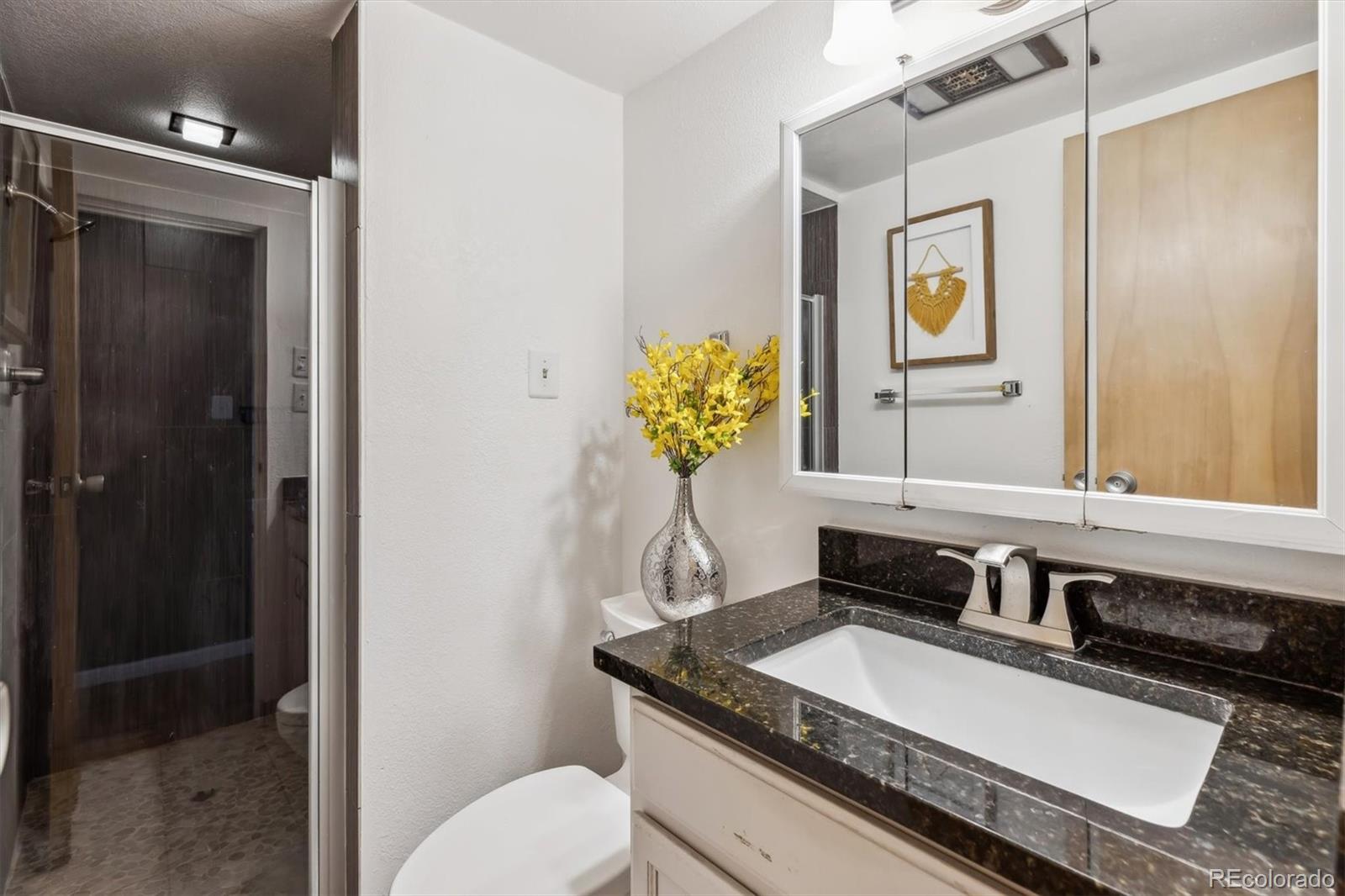 MLS Image #14 for 1050 n corona street,denver, Colorado