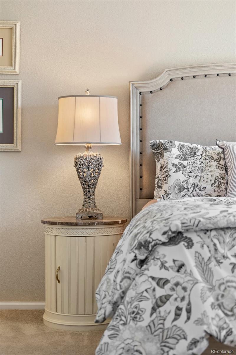 MLS Image #20 for 4194  beautiful circle,castle rock, Colorado