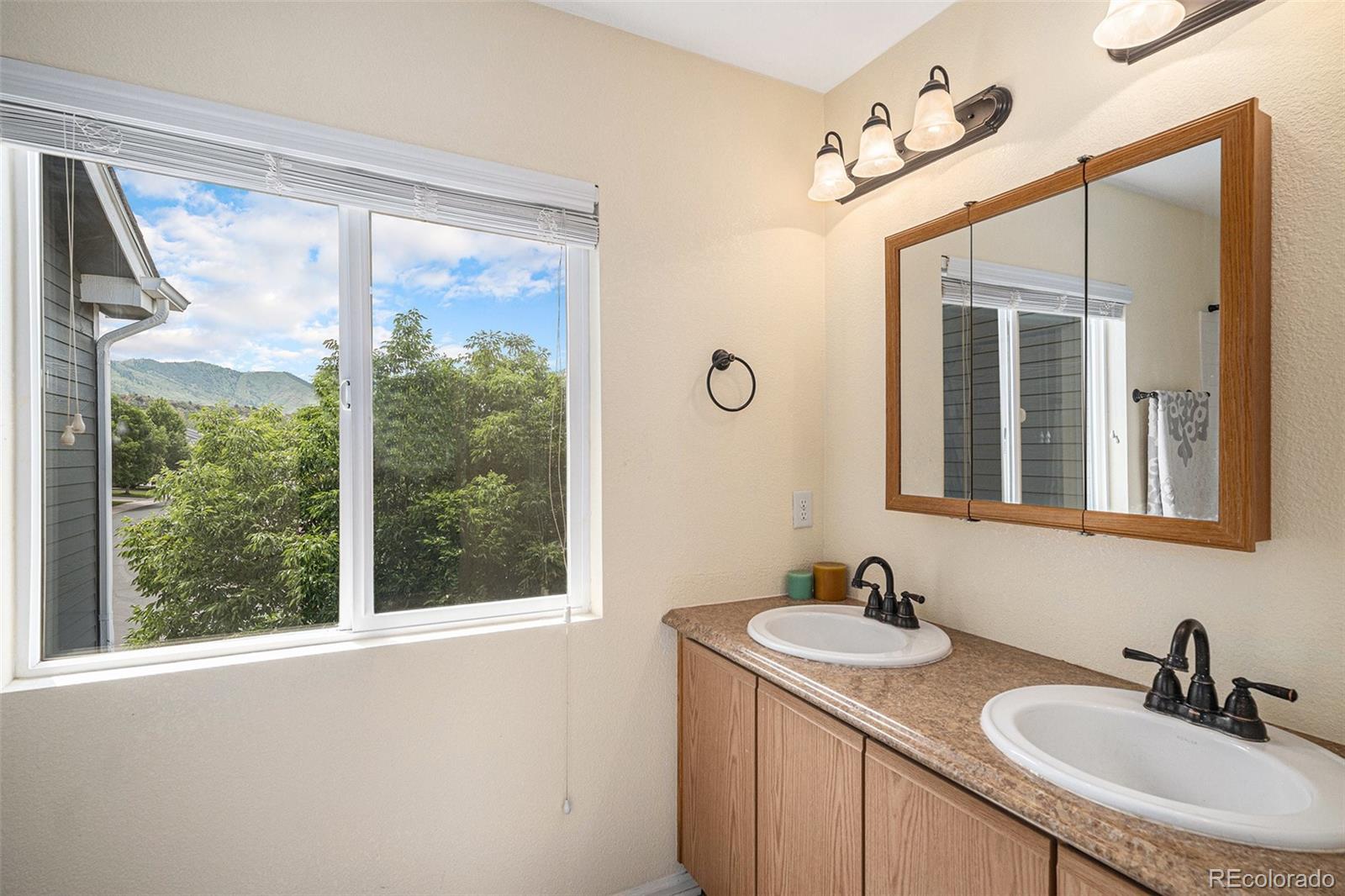 MLS Image #19 for 9633  marmot ridge circle,littleton, Colorado