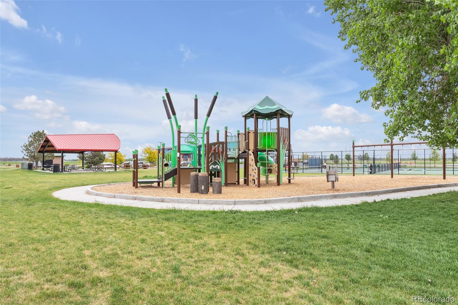 MLS Image #18 for 2561  stage coach drive,milliken, Colorado