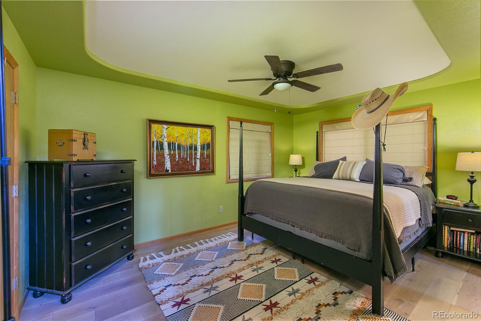 MLS Image #13 for 426 s san juan avenue,buena vista, Colorado