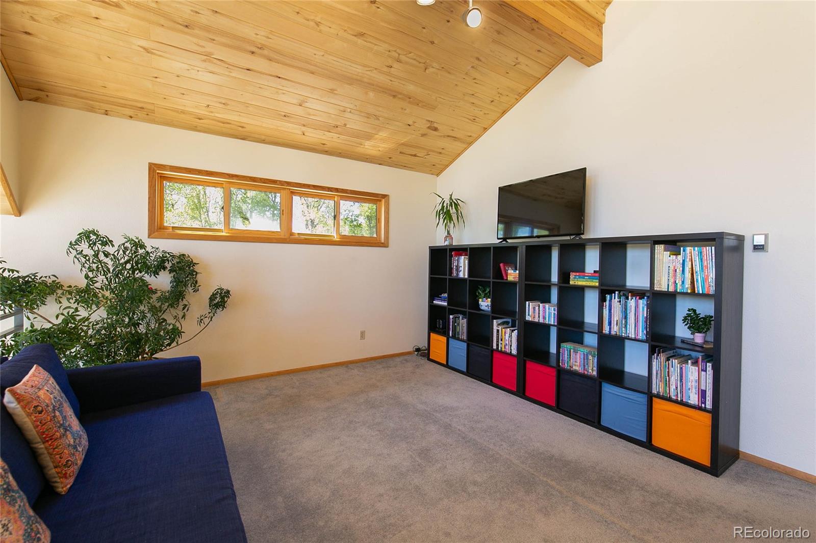 MLS Image #18 for 426 s san juan avenue,buena vista, Colorado